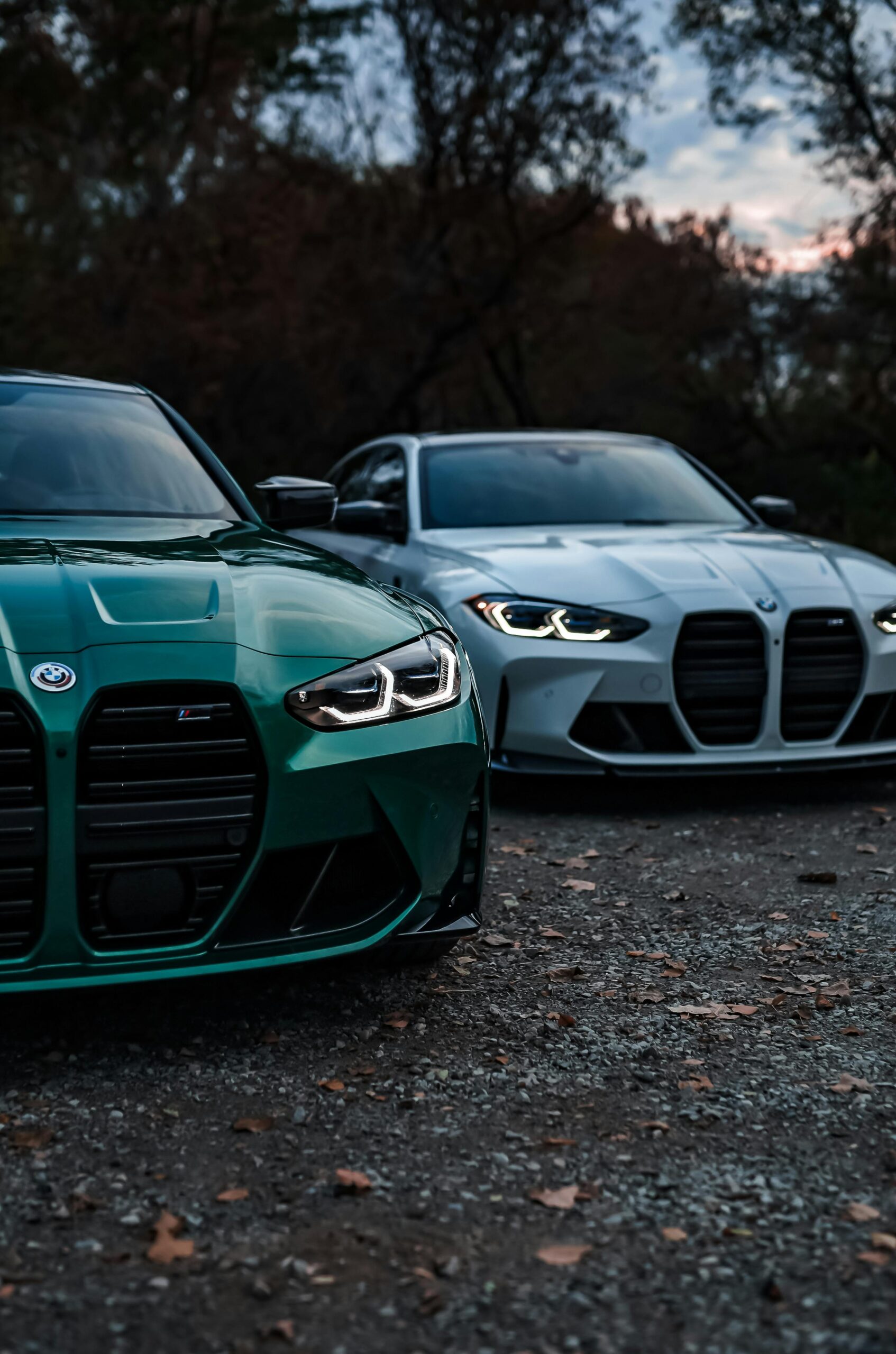 Importazione Auto Germania Concessionaria Importatori Auto